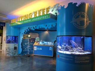 Image of Florida Keys Eco-Discovery Center