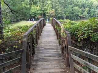 Image of William B. Umstead State Park