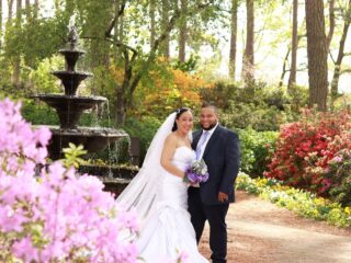 Image of WRAL Azalea Garden