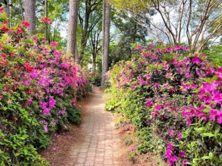 Image of WRAL Azalea Garden